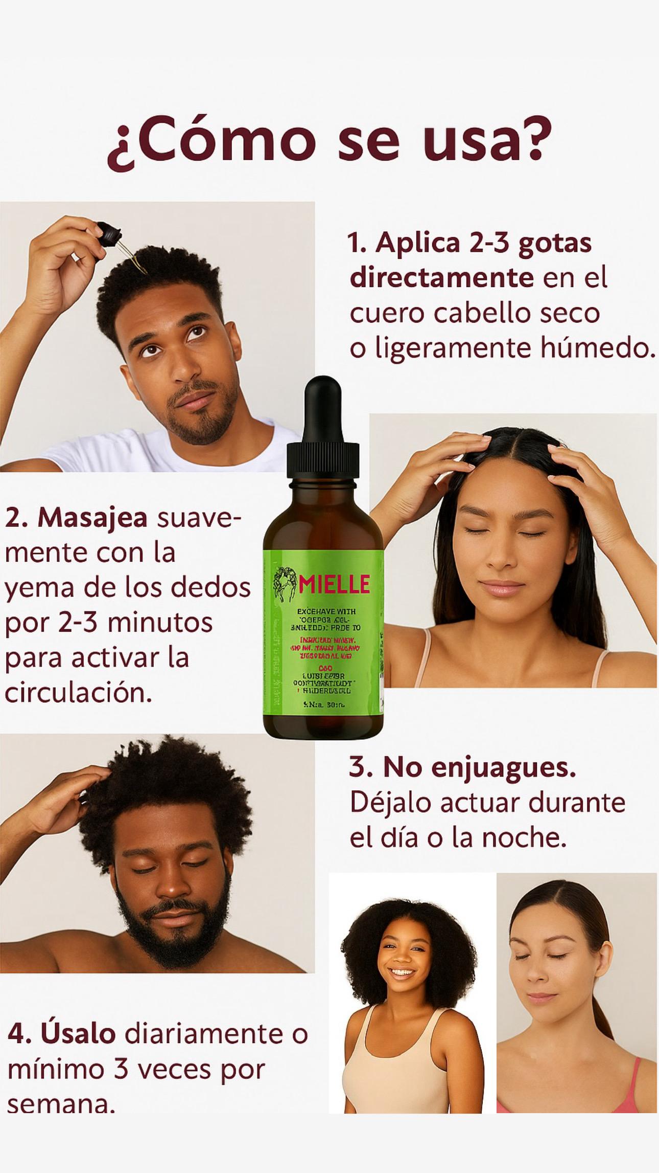Aceite capilar Mielle Rosemary Leaf & Coconut Oil