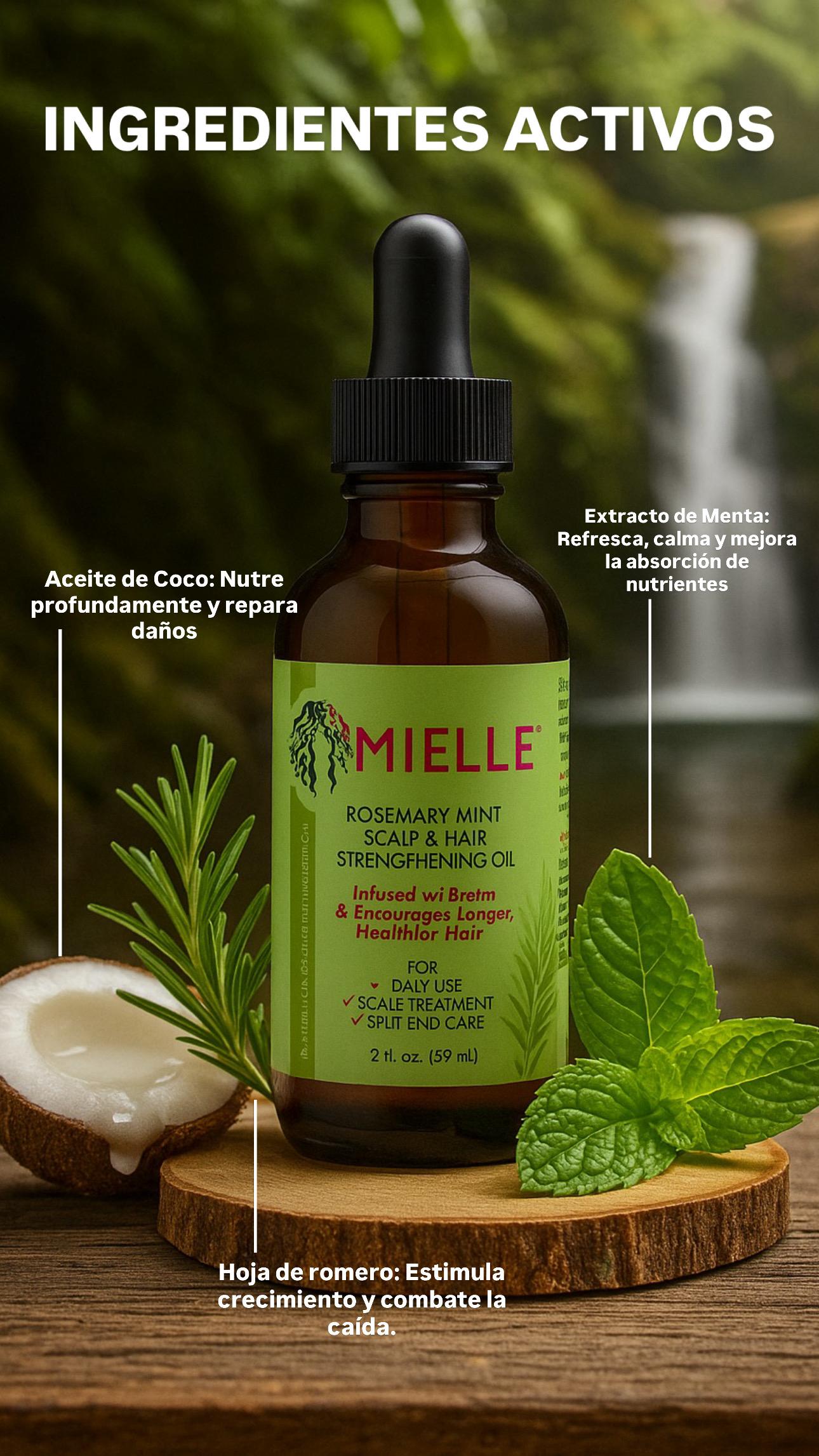 Aceite capilar Mielle Rosemary Leaf & Coconut Oil