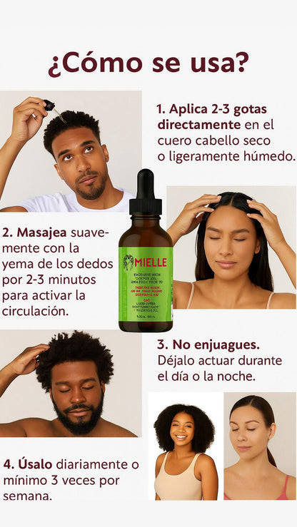 Aceite capilar Mielle Rosemary Leaf & Coconut Oil